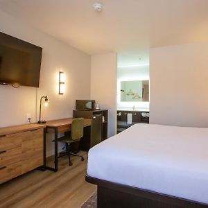 Mini King Suite